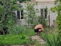 Overgrown path, this is not a problem at all.