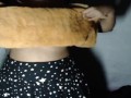 I wrapped myself up