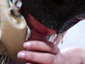 iranian amateur sex 2020