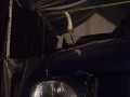 Playing on the stang