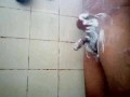 Psbuds- Musturbation in the Bath room 