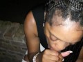 Quickie At  July 4th Cookout 