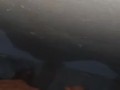 DESI GUY JERKING OFF | 2020