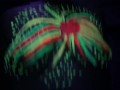 Fucking around with paint and black lights. 