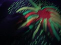 Fucking around with paint and black lights. 