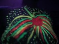 Fucking around with paint and black lights. 