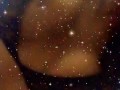 Bouncing tits