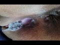 Amazing!! she tells me that she wants milk in her vagina.
