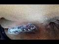 Amazing!! she tells me that she wants milk in her vagina.