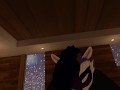 POV Furry Sex