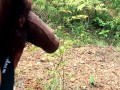 TEEN BOY PISSING IN WOODS  AMATEUR