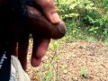 TEEN BOY PISSING IN WOODS  AMATEUR