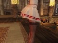 Skyrim : My Character With HDT-PE/SME Physics