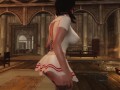 Skyrim : My Character With HDT-PE/SME Physics