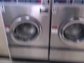 Laundromat Handjob 
