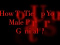 How To Tie Up Your Male Partners Genitals?