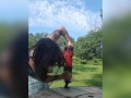 Big Natural Tits Power Tools - Off Grid Construction Projects Outside Topless