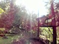 Horny Outdoor Treehouse Masturbation with Glass Dildo