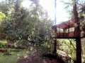 Horny Outdoor Treehouse Masturbation with Glass Dildo