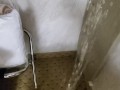 Pissing in the closet