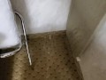 Pissing in the closet
