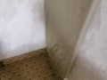 Pissing in the closet