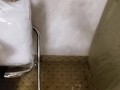 Pissing in the closet