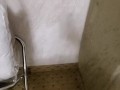 Pissing in the closet
