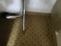 Pissing in the closet