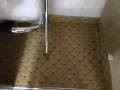 Pissing in the closet