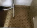 Pissing in the closet