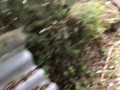Nature pee in public in my yard! Public piss