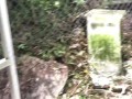 Nature pee in public in my yard! Public piss