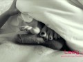 Footjob close up POV, rubbing and jerk off his dick with long toes and made him cum on feet