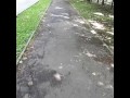 Wetting gym pants outdoor desperation