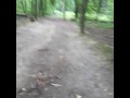 Wetting gym pants outdoor desperation