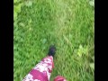 Wetting gym pants outdoor desperation