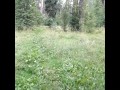 Wetting gym pants outdoor desperation