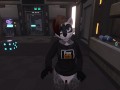 Space Raccoon Butt Invasion - POV Furry Sex