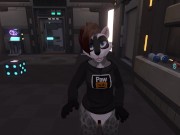Space Raccoon Butt Invasion - POV Furry Sex