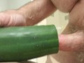 Fucking a cucumber (Cum)