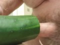 Fucking a cucumber (Cum)