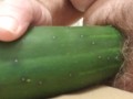 Fucking a cucumber (Cum)