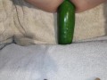 Big cucumber vegetable insertion anal training