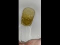 Week 29 Pee diary