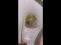 Week 29 Pee diary