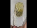 Week 29 Pee diary