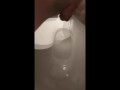 Week 29 Pee diary