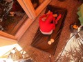 Dollification - outdoor in summertime - Silicone dollsuit
