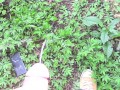 SixPack Piss Tuesday 11th Angle 2